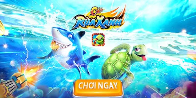 Tham gia cá cược giải trí cùng Bắn cá rùa xanh.